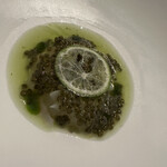 SEZANNE - 牡丹海老