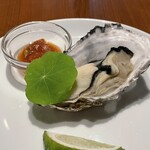 Akami Modern Chop House - 