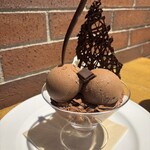 バニラビーンズ - 