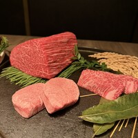 USHIGORO S. NISHIAZABU - 