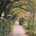 PIZZAジャルディーノ SAVOY - 