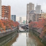 PIZZAジャルディーノ SAVOY - 