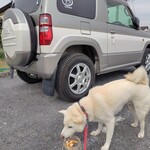 青竹手打ラーメン 日向屋 - 久々の愛車､｢コタロー号｣で
