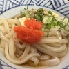 うどん さか枝