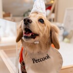 Petcook Cafe - 