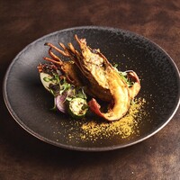 オッジ ダルマット 西麻布店 - 