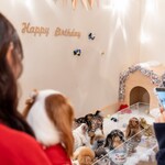 Petcook Cafe - 