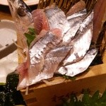 32857689 - 秋刀魚の刺身