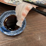 田町にセンバネ - 