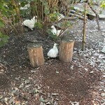 庭が森のピザ屋さん QUARANTA - 