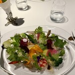 レフェルヴェソンス - 