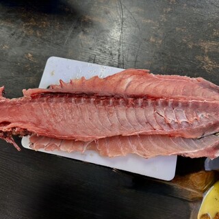 さかな大統漁_1