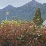 筑波山 ひたち野 - 