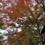 筑波山 ひたち野 - 