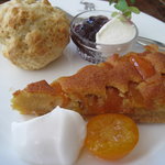 ナス・ショウゾウ カフェ - キンカンのタルトとスコーン