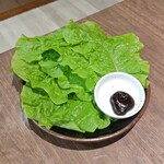 いやしん坊 - チシャ