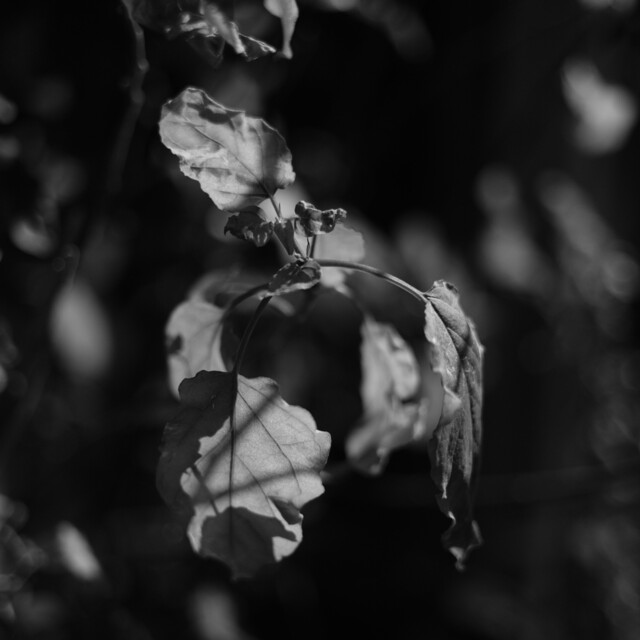 Tonkatsu Wakou Subnado Shinjuku Ten photo 3