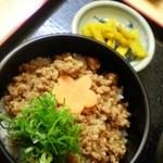 辨慶うどん - そぼろご飯