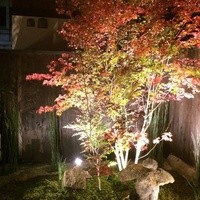 炭火割烹 白坂 - 