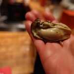 初音鮨 - 牡蠣(厚岸)手渡し 202511