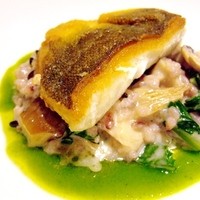 Cuisine Franco-japonaise Matsushima - 
