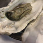 炭や 六根 貝とか酒とか炙りとか - 