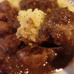 カレーの店 マボロシ - ポークカレー 大辛
