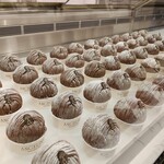 アンジェリーナ - 