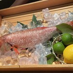 のどぐろ専門 銀座 中俣 - このサイズが1番美味しいそうです。