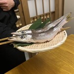 炉ノ鳥 - 
