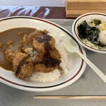 群馬大学生活共同組合 桐生キャンパス 食堂 - カツカレーと野菜サラダ。シンプルだけど懐かしい味ですね。