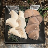 Shangri-La's secret ROPPONGI - 