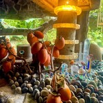 竹やぶ - 内観②