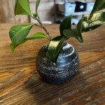 発酵暮らし研究所andカフェ うふふ - 