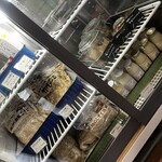 発酵暮らし研究所andカフェ うふふ - 