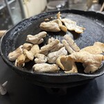 谷椿 - 