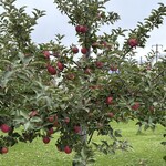 三忠食堂 - この風景が見たかった