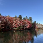 Cafe St. Maire KUMOBA - 