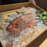 のどぐろ専門 銀座 中俣 - 