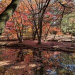 Cafe St. Maire KUMOBA