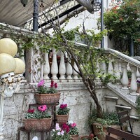 表参道バンブー - 