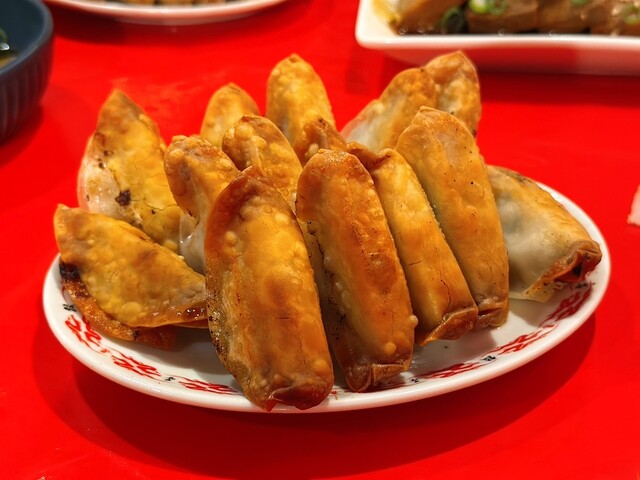 Hiroshima Gyoza RED DRAGON Namikidori Ten