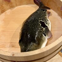 泳ぎとらふぐ活蟹料理 あじ平 曽根崎 - 