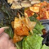 韓国石焼サムギョプサル専門 コッテジ 千日前本店