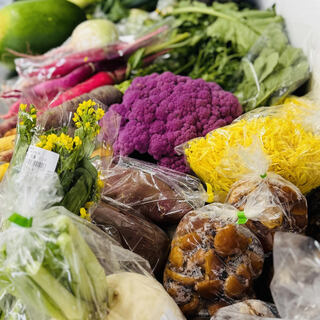 地産地消の旬な食材