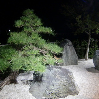 庭を眺めながら食べるお肉は最高です♪