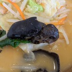 幸楽苑 - 味噌野菜たんめんはキクラゲ入ってます