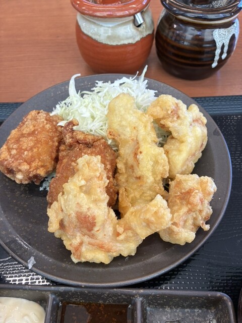 Karayama Aichi Kariya Ten