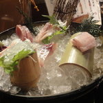さかな料理 魚甚 - お刺身盛合わせ　\2,800　ひっさげ・石鯛・関鯖・太刀魚・あおりいか・のれそれ