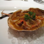 イグレック アサイ - 